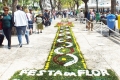 Flower carpet  in Funchal