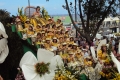 DSC07025