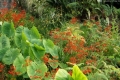 Capture14